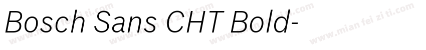 Bosch Sans CHT Bold字体转换